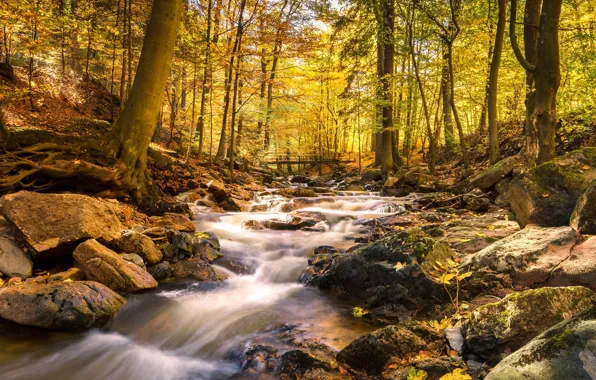 Picture autumn, landscape, nature, river, stream