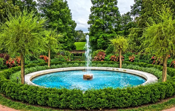 Picture trees, nature, Park, photo, fountain, USA, the bushes, Longwood Kennett Square