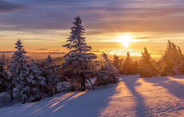 Winter, sunset, mountains