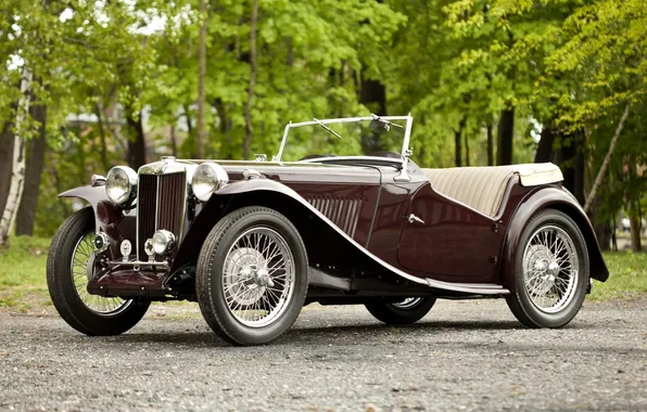 Trees, retro, background, convertible, the front, 1945, Midget, "Midget"