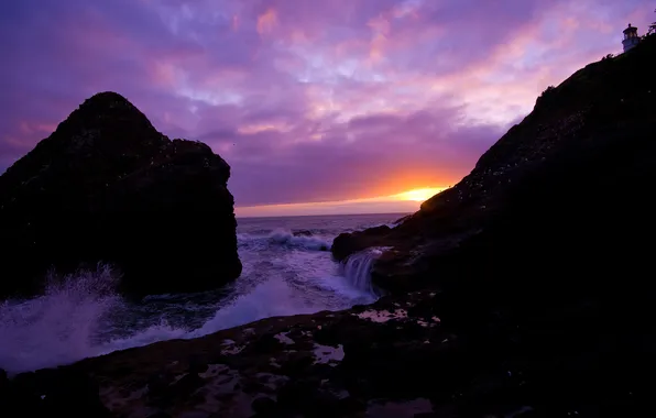 Sea, wave, sunset, rocks, seagulls
