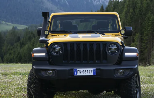 Picture front view, Jeep, 2019, yellow, Mopar, Wrangler Rubicon 1941, 4x4, SUV