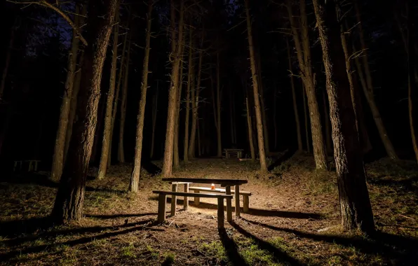Forest, night, table, candle, bench