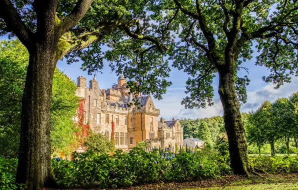 Greens, the sun, trees, flowers, branches, castle, garden, Scotland