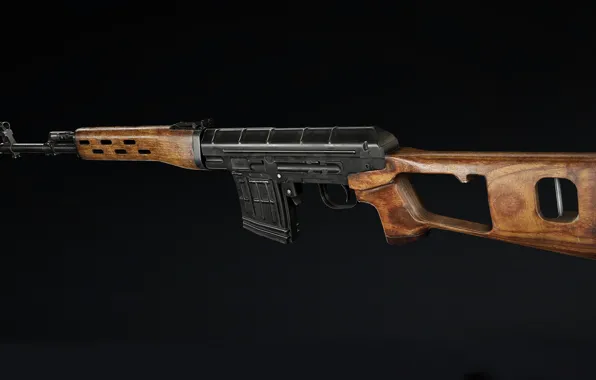 SVD, Legend, Dragunov Sniper Rifle