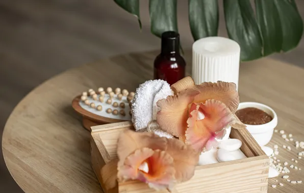 Leaves, flowers, pebbles, candle, towel, wooden, box, orchids