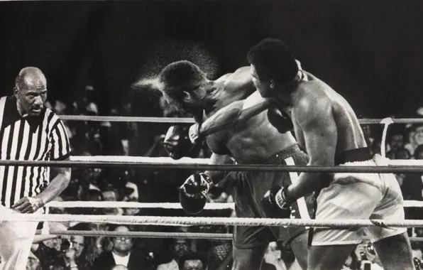 Sport, Boxing, blow, Muhammad Ali, the fight