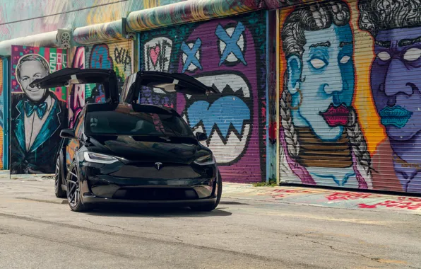 Front, Black, Graffiti, Tesla, Model X, Sight, Tesla Model X