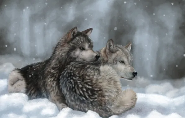 Picture winter, snow, art, wolves, lying