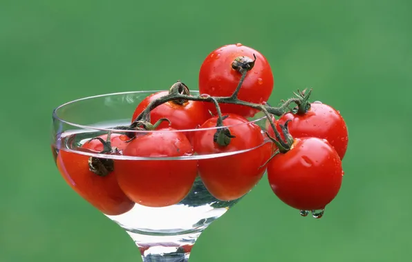Picture water, glass, tomatoes, green background, cherry
