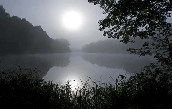 Picture the sky, grass, light, trees, night, reflection, river, photo