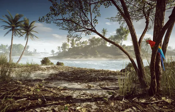 Palm trees, Parrot, Battlefield 4, Paracel Islands, Paracel Storm