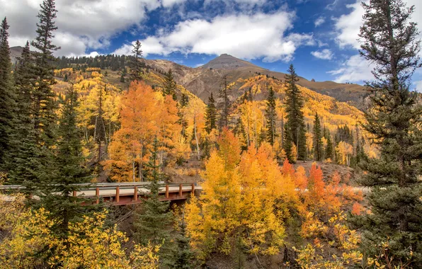 Autumn, forest, clouds, trees, mountains, bridge, blue, the slopes