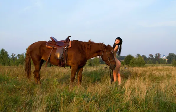 Field, grass, horse, red, saddle, harness
