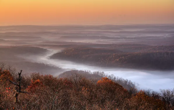 Autumn, forest, river, USA, the landscape, Tn, Crossville