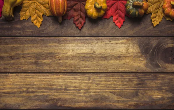 Autumn, leaves, background, tree, colorful, pumpkin, Board, wood