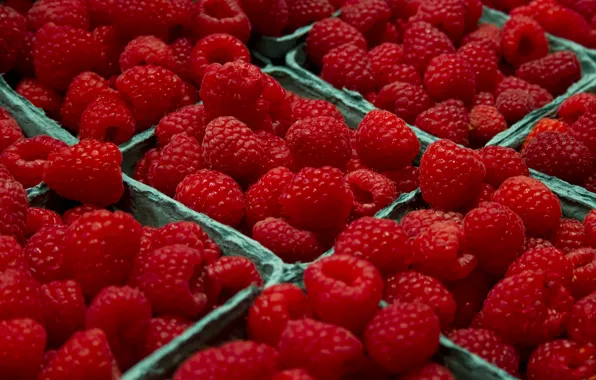 Macro, berries, raspberry