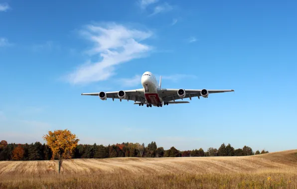 The sky, Field, White, The plane, Trees, Day, A380, Landing