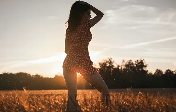 FOREST, The SKY, The SUN, FIELD, RAYS, DAWN, SUNDRESS, Photographer Anton Kharisov