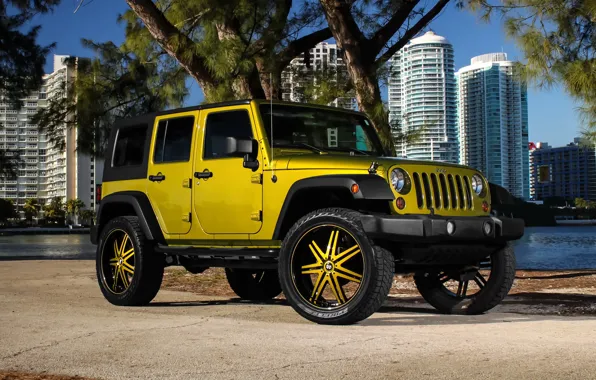 Color, Wrangler, Jeep, kit, suspension, lift, wheels., Status