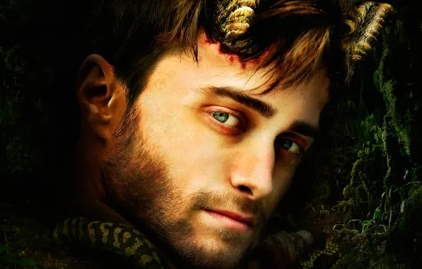 Portrait, Horns, Daniel Radcliffe, Horns