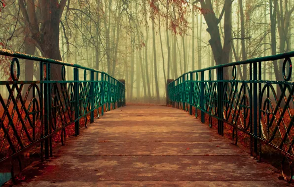 Autumn, leaves, trees, bridge, nature, handrails