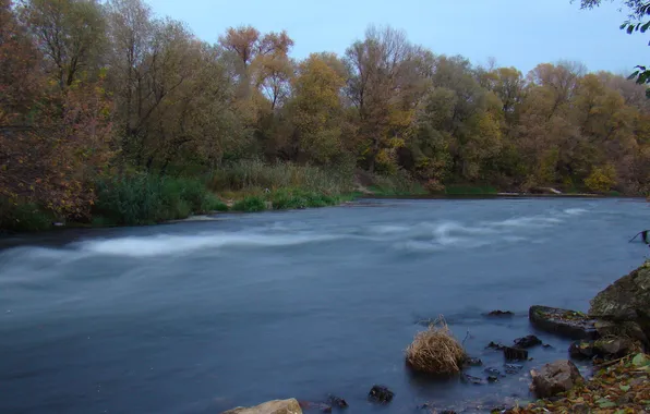 Autumn, water, river, stones, stream, flows