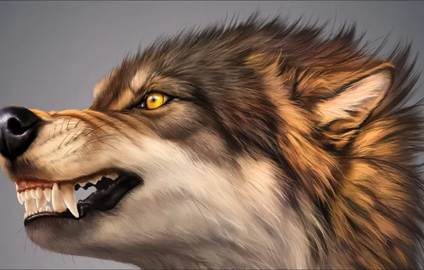 Figure, wolf, portrait, art, grin, Art, wolf, picture