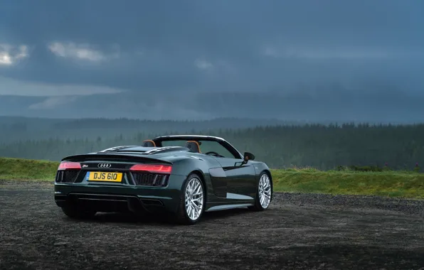 Audi R8, rear view, Spyder, V10, More, 2017
