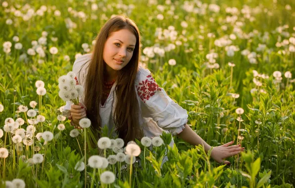 Picture field, summer, girl, dandelions