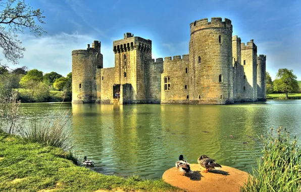 Picture water, ducks, Bodiam castle