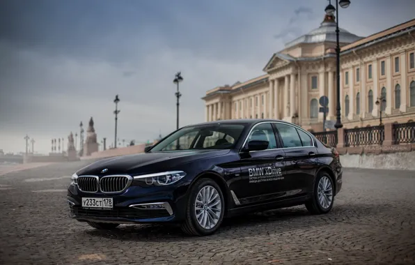 Car, machine, auto, city, fog, race, bmw, BMW