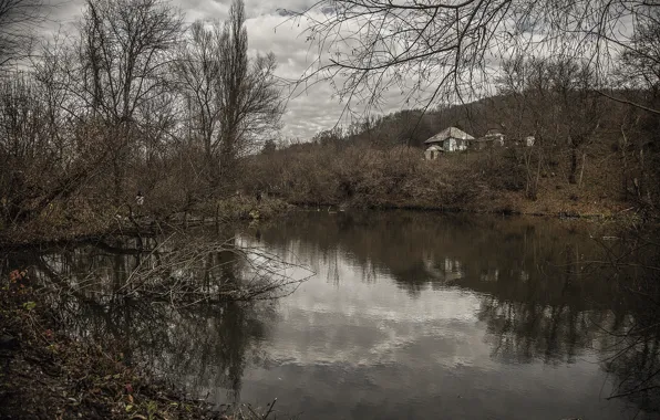 Forest, water, nature, lake, House