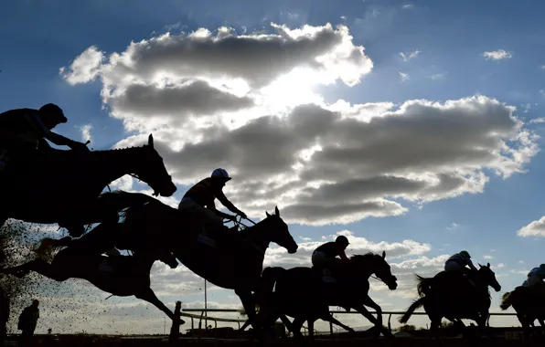 Picture horse, rider, jump, jockey, Racecourse