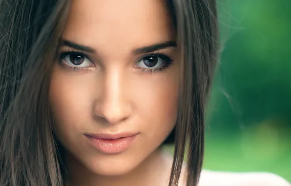 Look, macro, portrait, sponge, brown-eyed