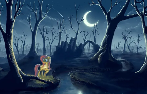 Picture forest, night, the moon, lantern, pony, My little pony