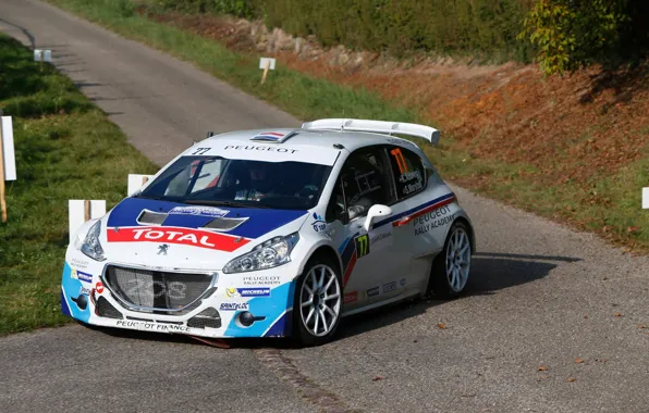 Grass, Turn, Asphalt, Peugeot, Peugeot, Rally, Rally, 208