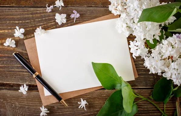 Letter, paper, branch, handle, white, lilac, the envelope