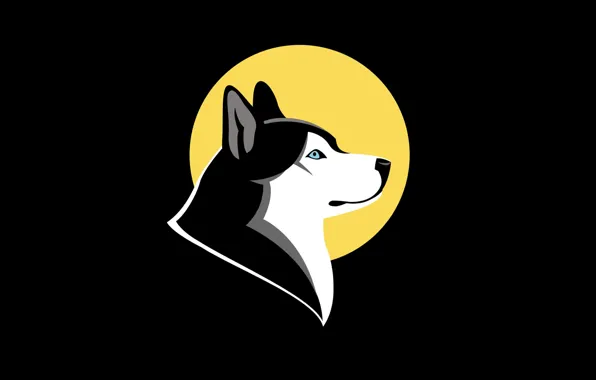 Dog, minimalism, husky, husky. dog