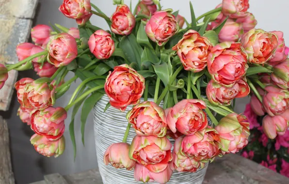 Spring, Tulips, Vase