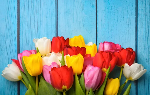 Flowers, colorful, tulips, wood, flowers, tulips, spring
