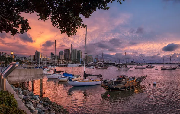 Picture sunset, the city, home, ships, boats, promenade, harbour, San Diego