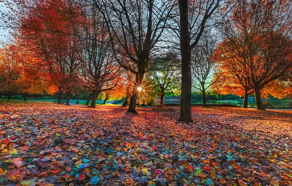 Picture autumn, leaves, trees, sunset, bench, Park, river, the rays of the sun