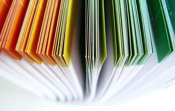 Macro, color, folder