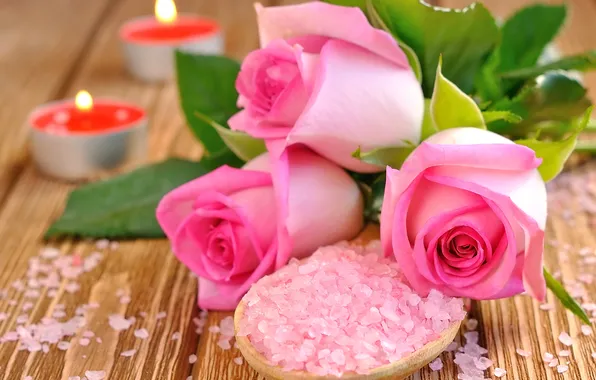 Roses, pink, flowers, roses, spa, salt