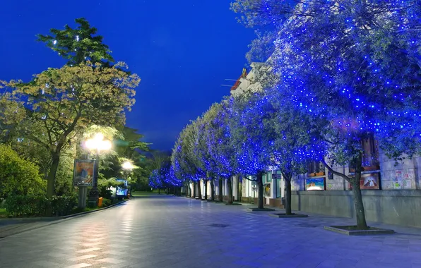 Picture trees, lights, Yalta
