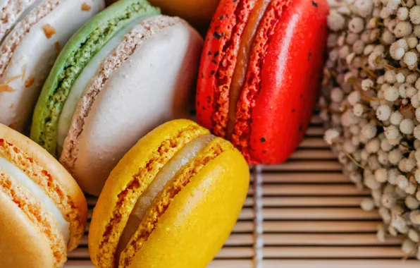 Picture colorful, dessert, cakes, sweet, sweet, dessert, bright, macaroon