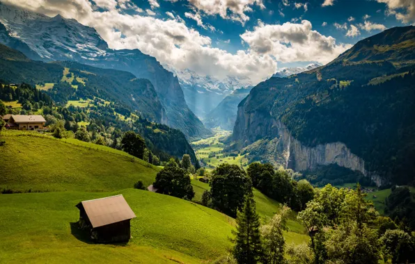 Forest, clouds, mountains, fog, the slopes, Alps, house
