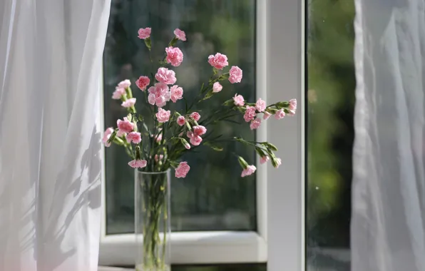 Bouquet, window, vase, clove