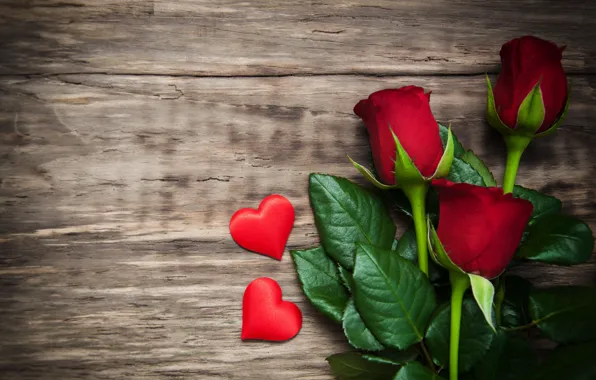 Roses, red, love, buds, heart, flowers, romantic, roses